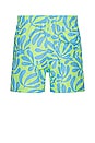 view 2 of 4 The Classic Swim Shorts in Leaf Print