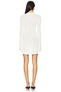 view 3 of 3 The Babetta Dress in Brule