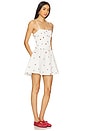 view 2 of 3 The Mini Delta Dress in Brule