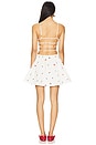 view 3 of 3 The Mini Delta Dress in Brule