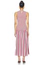 view 4 of 4 The Arlin Dress in Sangria & Stone