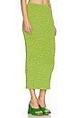 view 2 of 5 Cindy Skirt in Lime & Citron