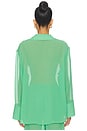 view 3 of 4 The Jaclyn Tunic in Turtle Green