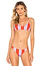 view 1 of 4 RACHEL ビキニトップ in Lavender Red Stripe