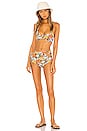 view 4 of 4 x RE/DONE Bikini Bottom in Woodstock Floral