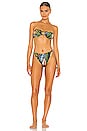 view 4 of 4 Tati Bikini Bottom in Jungle Print
