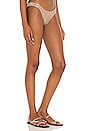 view 2 of 5 Eva Bikini Bottom in Treasure