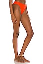 view 2 of 4 X Sloane Stephens Brody Bikini Bottom in Candy Red