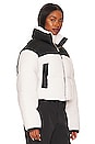 view 3 of 5 Maya Shearling Jacket in Natural White & Black