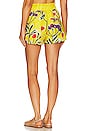 view 3 of 4 Adelson Short in Golden Wallflowers