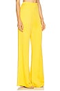 view 2 of 6 Palermo Pant in Amber