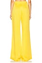 view 4 of 6 Palermo Pant in Amber