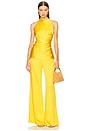 view 5 of 6 Palermo Pant in Amber