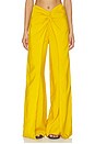 view 1 of 6 PANTALON CANTURIPE in Amber