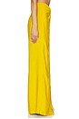view 3 of 6 PANTALON CANTURIPE in Amber