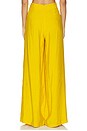 view 4 of 6 PANTALON CANTURIPE in Amber
