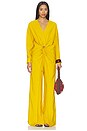 view 5 of 6 PANTALON CANTURIPE in Amber