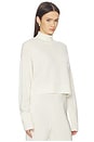 view 2 of 4 Sable Turtleneck Sweater in Gardenia