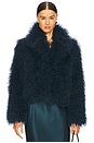 view 2 of 5 Shae Faux Fur Coat in Compass