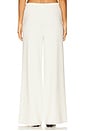 view 4 of 6 Adler B Relaxed Straight Leg Pant in Gardenia