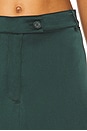 view 6 of 6 Posey Maxi Trouser Skirt in Sacramento