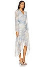 view 2 of 4 Renata Dress in Multi