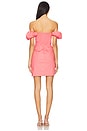 view 3 of 3 Bordeaux Dress in Persimmon Pink