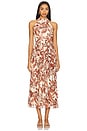 view 1 of 3 Rosemary Dress in Rio Print