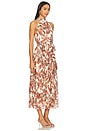 view 2 of 3 Rosemary Dress in Rio Print