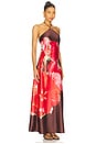 view 2 of 3 Flora Dress in Burnt Umber