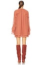 view 4 of 4 Sofina Dress in Copper Brown