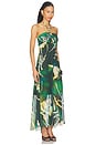 view 2 of 3 Strada Dress in Eden Palms