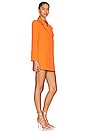view 2 of 3 Reagan Dress in Orange