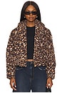 view 1 of 5 Evy Jacket in Leopard