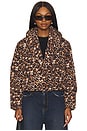 view 2 of 5 Evy Jacket in Leopard