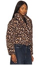 view 3 of 5 Evy Jacket in Leopard