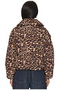 view 4 of 5 Evy Jacket in Leopard