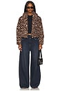 view 5 of 5 Evy Jacket in Leopard