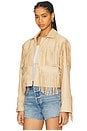 view 4 of 6 Halia Jacket in Tan