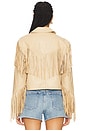 view 5 of 6 Halia Jacket in Tan