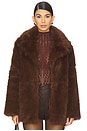 view 1 of 4 Kindra Coat in Brown