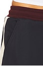 view 7 of 7 Daisy Pant in Midnight