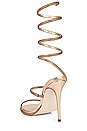 view 3 of 5 Exotica Sandal in Bronze