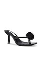 view 2 of 5 Jannie Sandal in Black