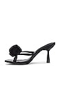 view 5 of 5 Jannie Sandal in Black
