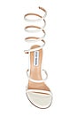 view 4 of 5 Exotica Sandal in Pearl
