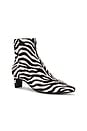 view 2 of 5 Delvie Boot in Zebra
