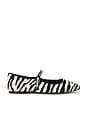 view 1 of 5 Maple Ballet Flat in Zebra