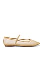 view 1 of 5 Maple Mary Jane Flat in Natural Mesh