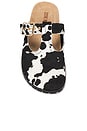 view 4 of 5 Atticus Clogs in Cow Print